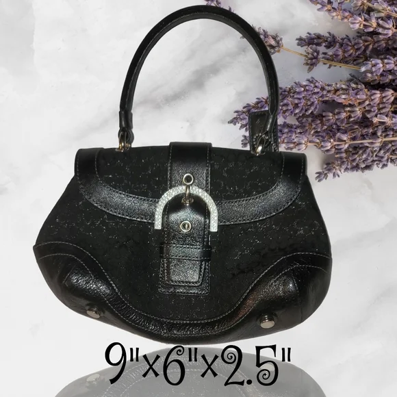 ✨ Rare ✨Coach Mini Handbag Rhinestone Black Rhinestone Coach Teri Mini Bag | TikTok